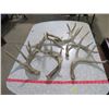 Image 1 : LOT OF DEER SHEDS