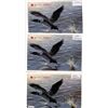 Image 1 : LOT OF 3 CANADIAN PROOF SETS (1997 WINNIPEG-98 OTTOWA-98 WINNIPEG)