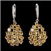 Image 1 : Natural Top Rich Yellow Citrine Earrings