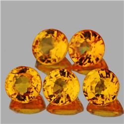 Natural AAA Golden Yellow Sapphire 3.80 MM - VVS