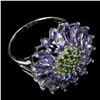 Image 3 : Natural Tanzanite & Chrome Diopside Ring