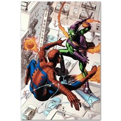 Marvel Comics "Dark Reign:The Goblin Legacy One-Shot" Numbered Limited Edition Giclee on Canvas by M