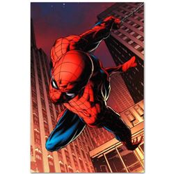 Marvel Comics  Amazing Spider-Man #641  Numbered Limited Edition Giclee on Canvas by Joe Quesada wit