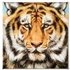 Image 1 : "Terrific Tiger" Limited Edition Giclee on Canvas by Martin Katon, Numbered and Hand Signed with COA