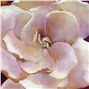 Image 2 : "Gardenia" Limited Edition Giclee on Canvas by Simon Bull, Numbered and Signed with COA. This piece 