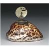 Image 1 : INTERESTING AND RARE COWRIE SHELL INKWELL