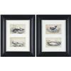 Image 1 : LOT OF FOUR FRAMED WHALING PRINTS