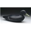 Image 1 : CARVED AND PAINTED BLACK DUCK DECOY ATTRIBUTED TO