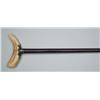 Image 1 : BOAR’S TUSK HANDLED CANE