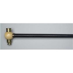 INTERESTING TELESCOPE CANE