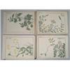 Image 1 : ORIENTAL WOODBLOCK PRINT BOOK