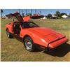 Image 1 : 1975 BRICKLIN SV1