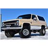 Image 1 : 1984 CHEVROLET BLAZER K5 CUSTOM