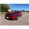 Image 2 : 2005 FORD MUSTANG GT CONVERTIBLE