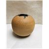Image 4 : American  Pottery Collection Henry Gernhardt