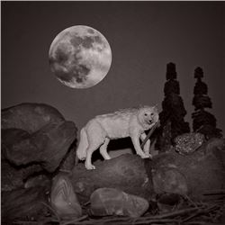The Wolf Moon Robert McCall
