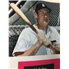 Image 3 : Detroit Tiger Yearbook