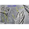 Image 4 : 1892/1-p Vam 3 DDR Morgan Dollar $1 Grades Choice AU/BU Slider