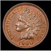 Image 2 : 1900 Indian Cent 1c Grades Select+ Unc RB