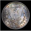 Image 3 : 1886-p rainbow Toned Vam 1E2 Morgan Dollar $1 Grades Choice+ Unc