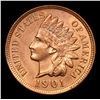 Image 2 : 1901 Indian Cent 1c Grades Select Unc RD