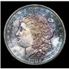 Image 2 : 1882-s Morgan Dollar $1 Grades Choice+ Unc