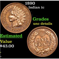 1890 Indian Cent 1c Grades Unc Details