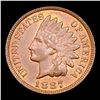 Image 2 : 1887 Indian Cent 1c Grades Select+ Unc RB