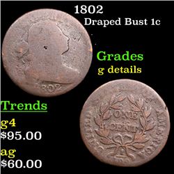 1802 Draped Bust Large Cent 1c Grades g details