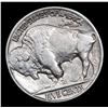 Image 3 : 1916-p Buffalo Nickel 5c Grades Choice AU/BU Slider