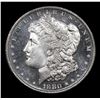 Image 2 : ***Auction Highlight*** 1880-s Morgan Dollar $1 Graded GEM++ DMPL By USCG (fc)