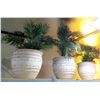 Image 1 : Qty 3 Artificial Plants in Decorative Planters