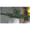 Image 3 : Qty 3 Artificial Plants in Decorative Planters