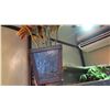 Image 5 : Qty 2 Artificial Plants