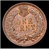 Image 3 : 1901 Indian Cent 1c Grades Select+ Unc BN