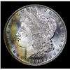 Image 2 : 1880-s Rainbow Toned Morgan Dollar $1 Grades Choice+ Unc