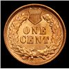 Image 3 : ***Auction Highlight*** 1891 Indian Cent 1c Graded Gem+ Unc RD By USCG (fc)