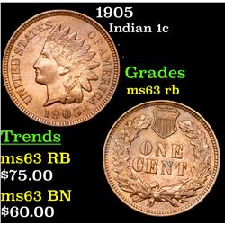 1905 Indian Cent 1c Grades Select Unc RB