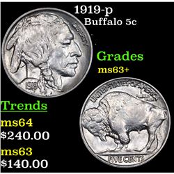 1919-p Buffalo Nickel 5c Grades Select+ Unc