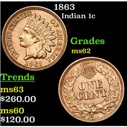 1863 Indian Cent 1c Grades Select Unc