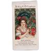 Image 1 : Coke notepad