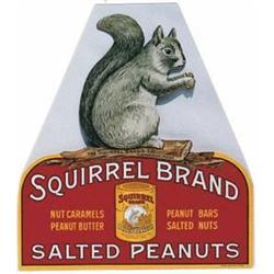 Cardboard Squirrel 