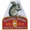 Image 1 : Cardboard Squirrel 