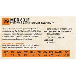 MDR 831F