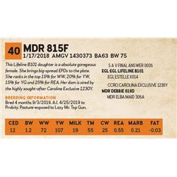 MDR 815F