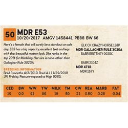 MDR E53