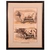 Image 1 : Colored print of awarded cattle at a show signed Sheldon Williams and dated 1876.