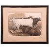 Image 1 : Colored Print of cattle at an English cattle show signed Sturgess and dated 1875.