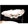 Image 2 : Two giant clam shells.