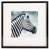 Image 1 : Three framed photographs of zebras.